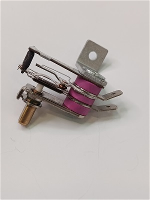 Termostat GE2005